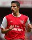 Robin van Persie
