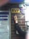RVP