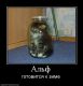 Без описания
