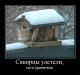 Без описания