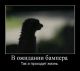 Без описания