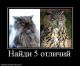 Без описания