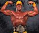 Халк Хоган (невеступале в wwe веступале в ТNА з 2009)