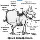 Без описания