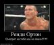 Без описания