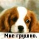 Без описания