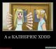 Без описания