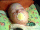 1286666531_6768.gif