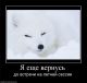 писец