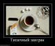 Без описания