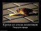 Без описания