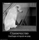 Без описания
