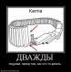 Без описания