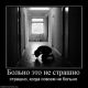 Без описания