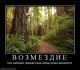 Без описания
