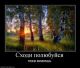Без описания