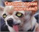 Без описания