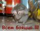 Без описания