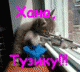 предыдушее фото