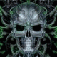 1292069024_7311.gif