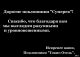 Без описания