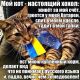 Без описания