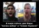 следующее фото