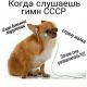 предыдушее фото