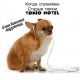предыдушее фото