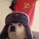 Без описания