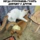 предыдушее фото