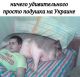 Без описания