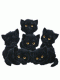 1292169918_9454.gif