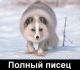 ПисеЦ