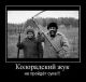 Без описания