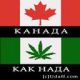 Ну как?