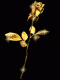 1293541564_8195.gif