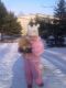 следующее фото
