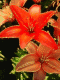 1293792468_3102.gif