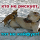 Кайф