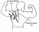 1294250977_1863.gif