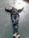 sleep