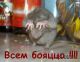 всем...
