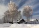 Зимняя красота