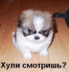 1295629658_4592.gif