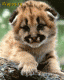 1295470852_3737.gif