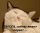Без описания