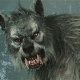 1295836581_9920.gif