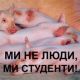 Без описания