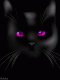1296406669_3877.gif
